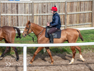 BP200326-16 - It's Hard To Know